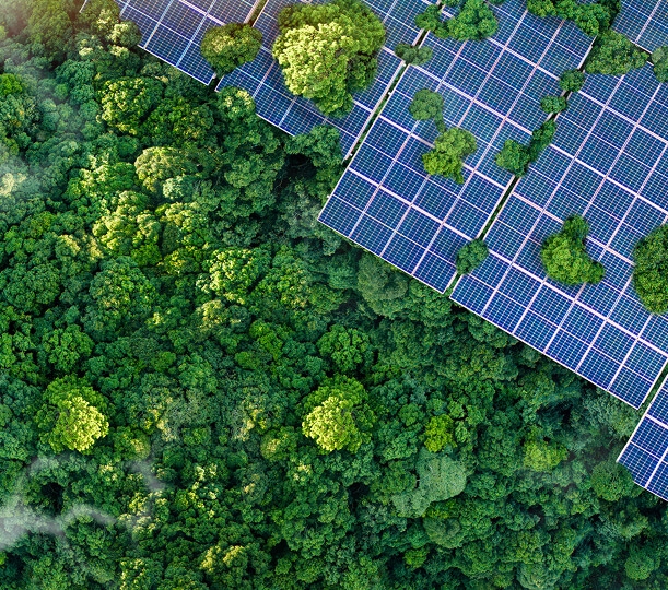 Três mulheres sorrindo no escritório Três mulheres sorrindo no escritório